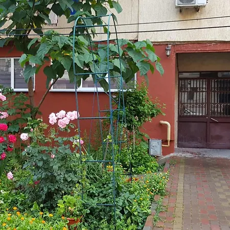 Apartament Cu 3 Decomandat La Parter *