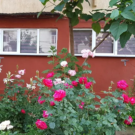 Apartament Cu 3 Decomandat La Parter Διαμέρισμα *