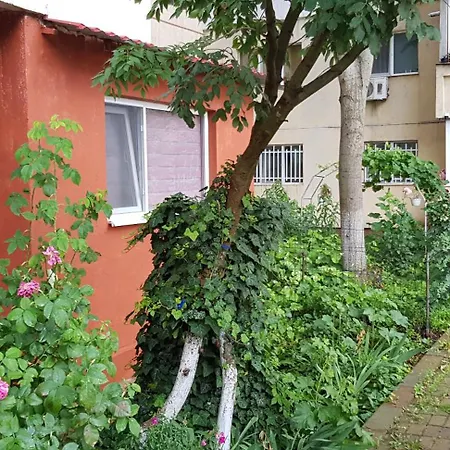 Apartament Cu 3 Decomandat La Parter *